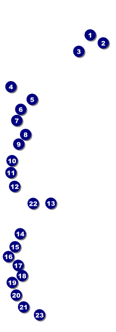Fishing and Hunting Expo Green Camo Event Ticket Front Field Markers