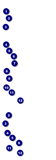 Palm Tree ticket Front Field Markers