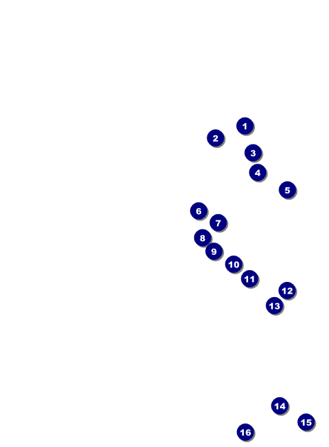 Texas Invitation 002 Front Field Markers