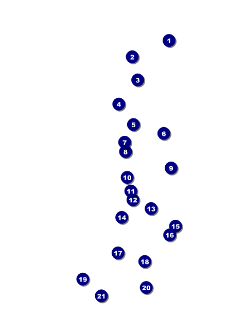 Cheerleading Spirit Invitation Front Field Markers