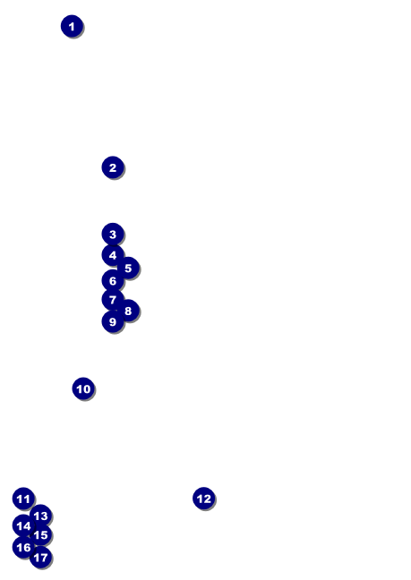Year Neon Lights Postcard Front Field Markers