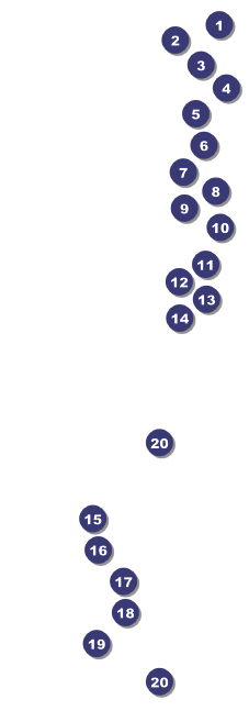 Massachusetts Raffle Ticket Front Field Markers