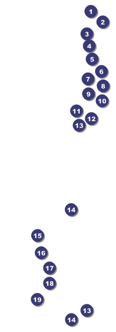 Puerto Rico Raffle Ticket Front Field Markers