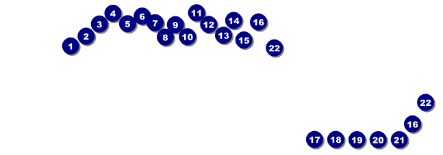 Bridal Fair Raffle Ticket Front Field Markers