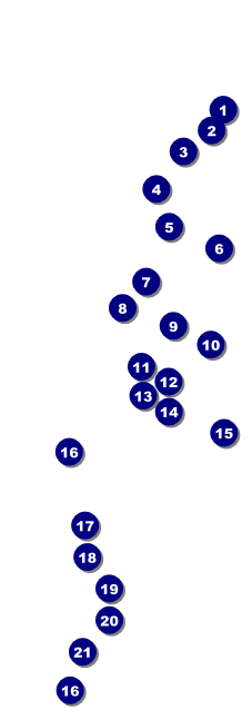 Chinese New Year Flower Snake Raffle Ticket Front Field Markers