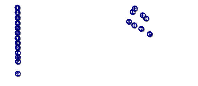 California VIP Pass (Orange and Blue) Front Field Markers