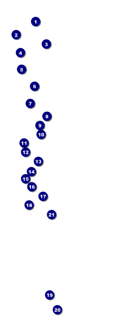 South Dakota VIP Pass Front Field Markers