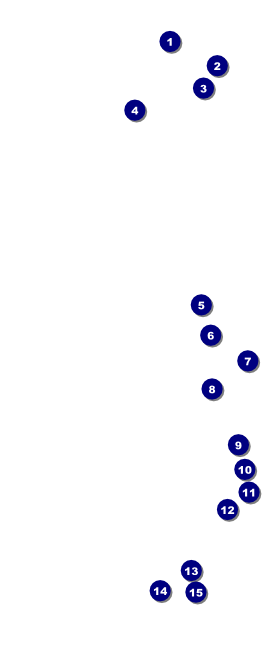 Fishing and Boating Expo VIP Pass Front Field Markers