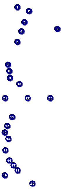 Year Parchment Paper VIP Pass Front Field Markers