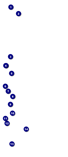 Bowling League VIP Pass Front Field Markers