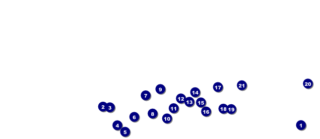 Miami VIP Pass Front Field Markers