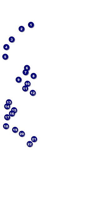 Dallas VIP Pass (Black and White) Front Field Markers