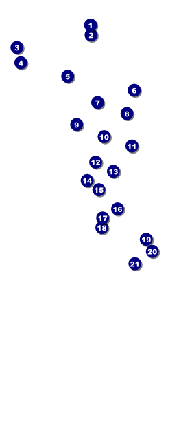 Houston VIP Pass (Black & white) Front Field Markers