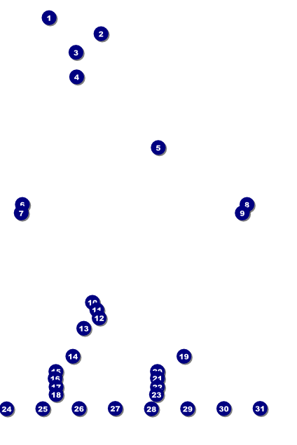 Carnival Monkey Logo Poster Front Field Markers