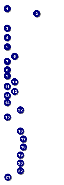 Africa Raffle Ticket Front Field Markers