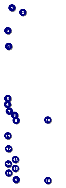Magic Show Event Ticket Front Field Markers