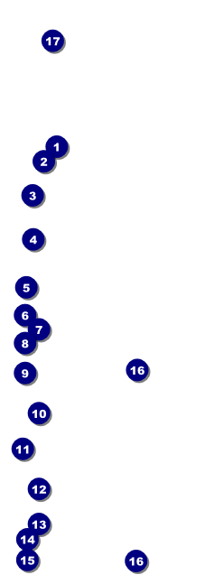 Sweet Sixteen Purple Chevron Event Ticket Front Field Markers