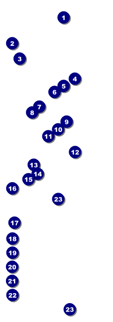 Summer Cut Paper Raffle Ticket Front Field Markers