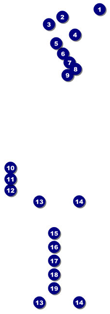 African Music Raffle Ticket Front Field Markers