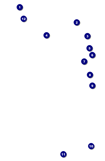 Bike for a Cause Drink Ticket Front Field Markers