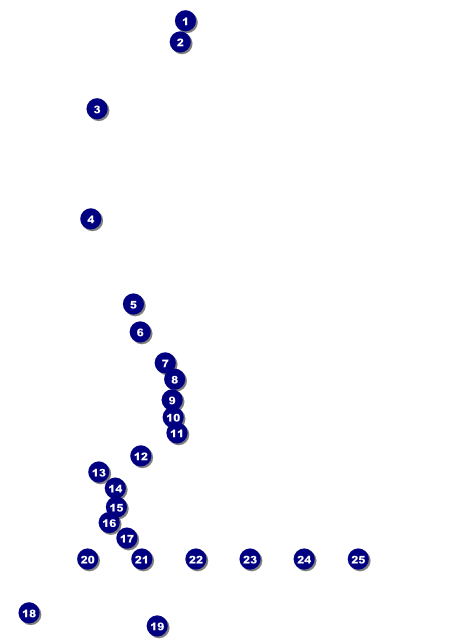 Tie Dye Logo Flyer Front Field Markers