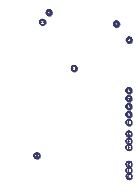 Ride Club Flyer Front Field Markers