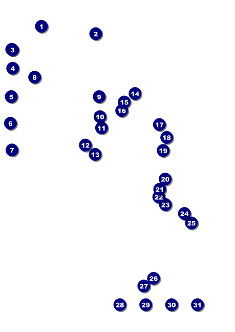 Fundraiser Tree Club Flyer Front Field Markers