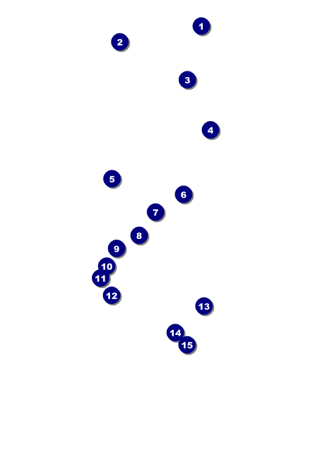Blues Club Flyer Front Field Markers